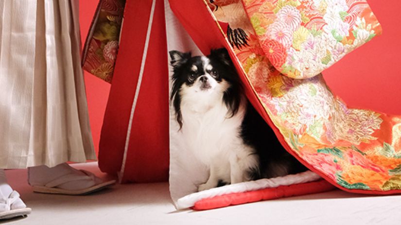 ブログ総合バナー