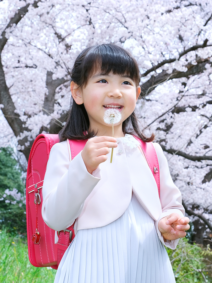 さいたま市大宮フォトスタジオラヴュー本店で撮影された入園記念写真_満開の桜の下でたんぽぽの綿毛と