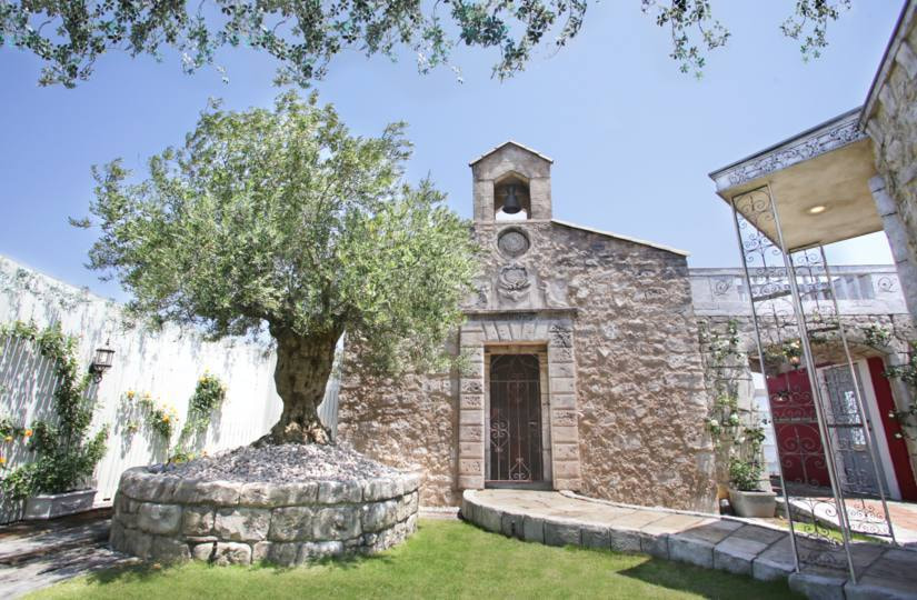 さいたま市大宮の写真館、フォトスタジオラヴュー本店の屋上ガーデンスタジオ「ラピュタ」、レンタルスタジオも行なっております。