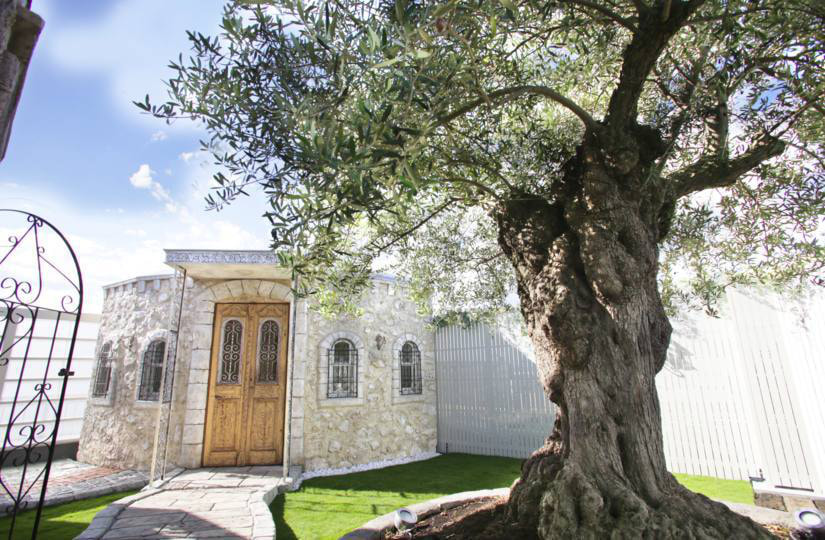 さいたま市大宮の写真館、フォトスタジオラヴュー本店の屋上ガーデンスタジオ「ラピュタ」昼景