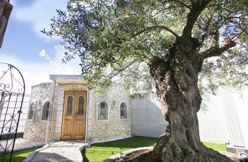 さいたま市大宮の写真館、フォトスタジオラヴュー本店の屋上ガーデンスタジオ「ラピュタ」昼景１