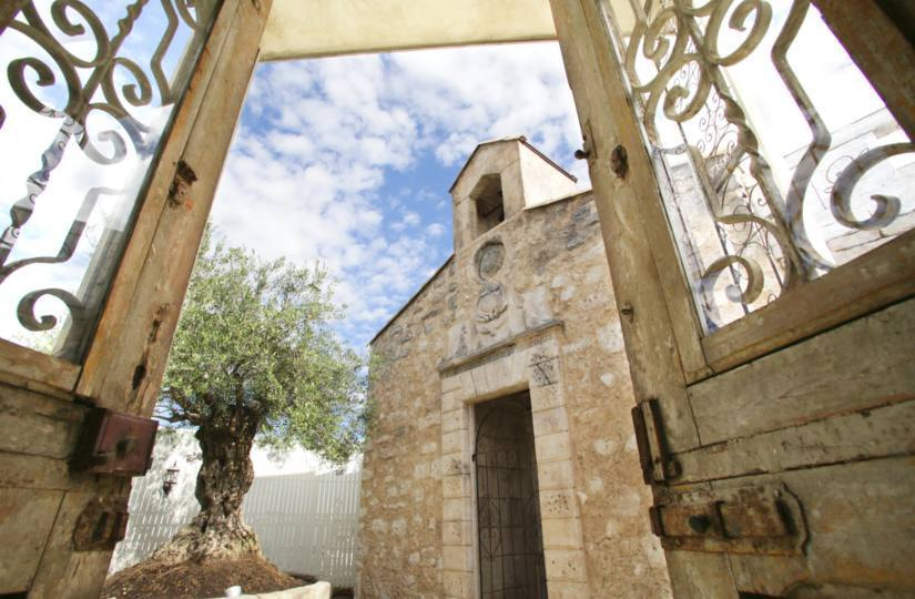 さいたま市大宮の写真館、フォトスタジオラヴュー本店の屋上ガーデンスタジオ「ラピュタ」昼景３_ドーム内より