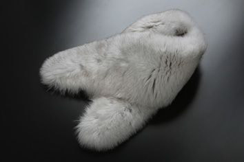 さいたま市大宮、豊島区池袋の写真館、フォトスタジオラヴューの成人振袖の衣裳持ち込みリスト：１９_ショール