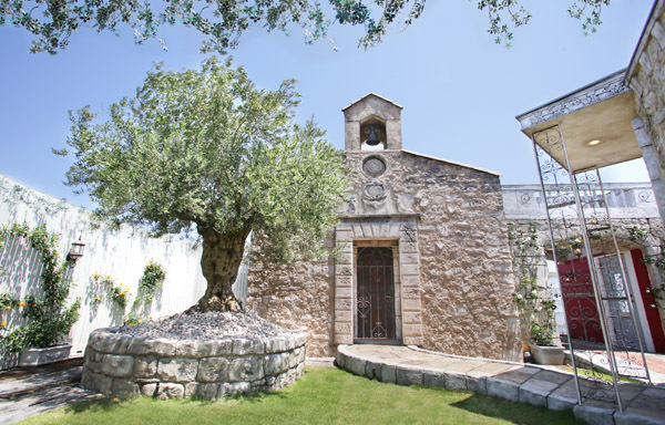 さいたま市大宮の写真館、フォトスタジオラヴュー本店の屋上ガーデンスタジオ「ラピュタ」、レンタルスタジオも行なっております。