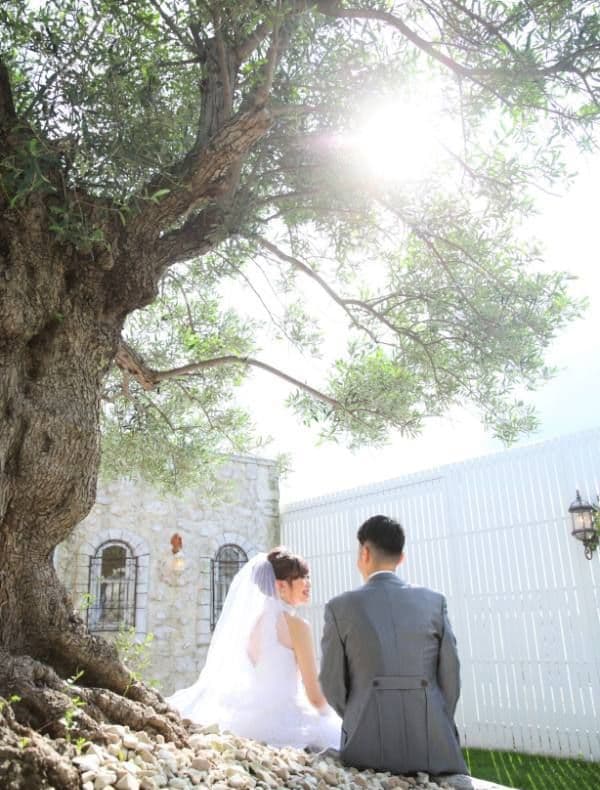 フォトウェディング_スタジオ_さいたま市_屋上ガーデン