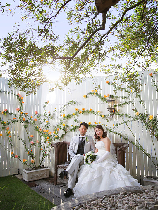 フォトウェディング_スタジオ_さいたま市_屋上ガーデン_バラ