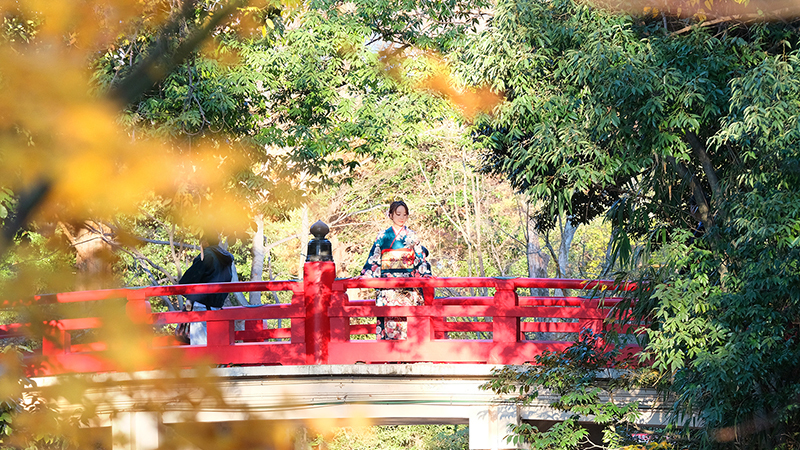 ラヴューの753ブログバナー