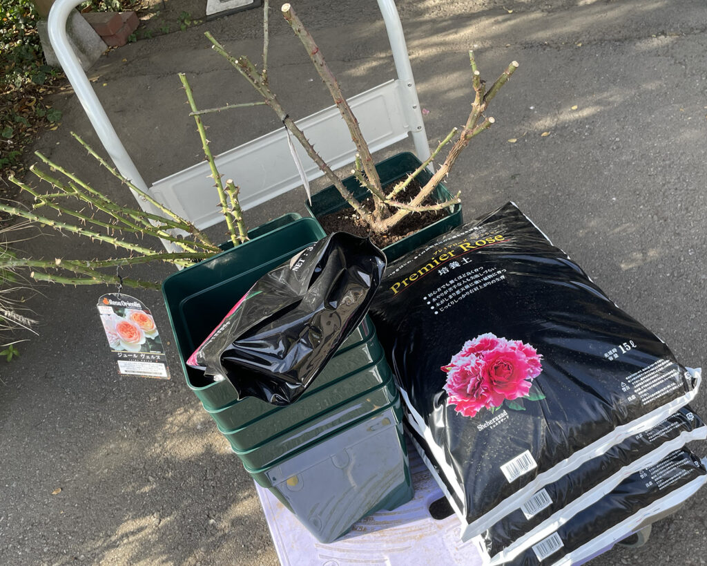 ジュールヴェルヌと培養土